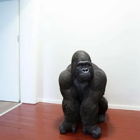 Cape Town - Chillinghouse # 3, 3 Min. Vom Ice, Netflix, Garten *