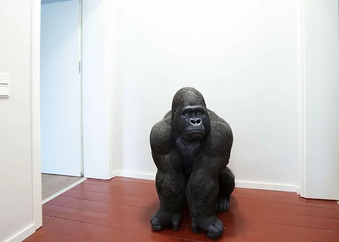 Cape Town - Chillinghouse # 3, 3 Min. Vom Ice, Netflix, Garten *